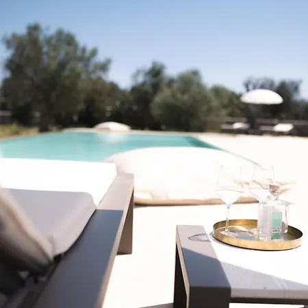 Beautiful Newly Surrounded By Olive Trees By Beahost