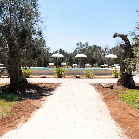 Beautiful Newly Surrounded By Olive Trees By Beahost Vila *