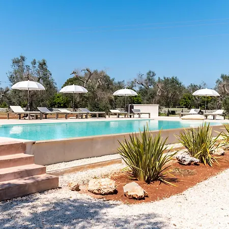Vila Beautiful Newly Surrounded By Olive Trees By Beahost Andrano