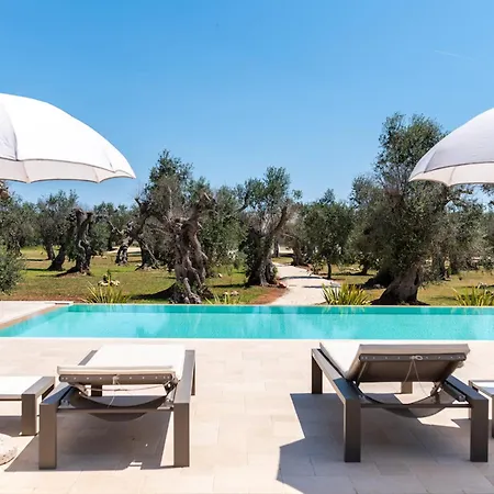 Vila Beautiful Newly Surrounded By Olive Trees By Beahost