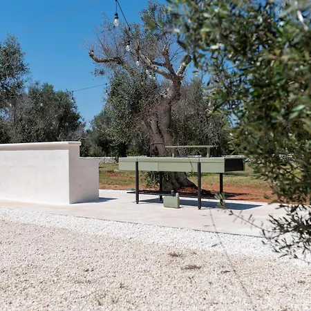Vila Beautiful Newly Surrounded By Olive Trees By Beahost