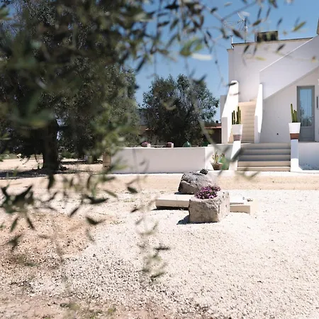 Beautiful Newly Surrounded By Olive Trees By Beahost Vila