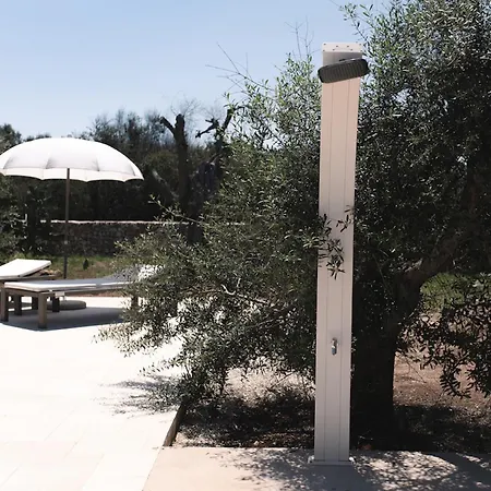 Beautiful Newly Surrounded By Olive Trees By Beahost