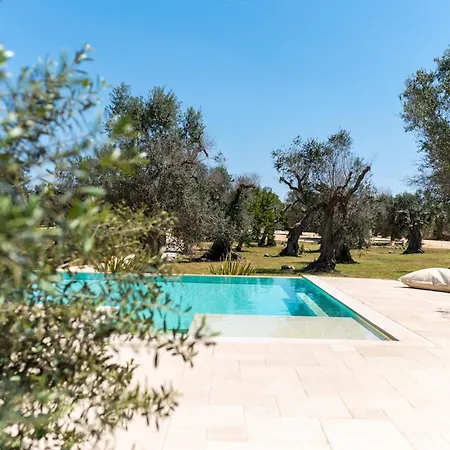 Vila Beautiful Newly Surrounded By Olive Trees By Beahost *